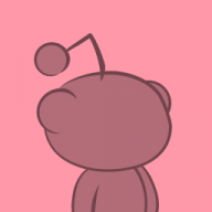 Past-Bee-3411