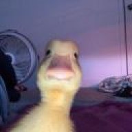 randomuser99